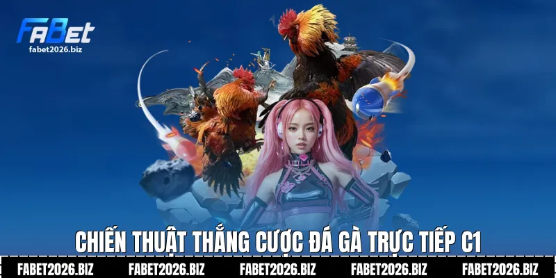 Chiến thuật thắng cược đá gà trực tiếp C1