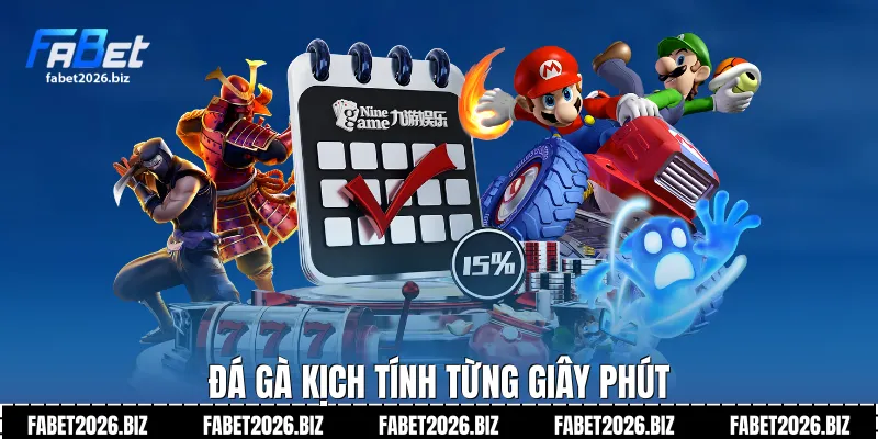Đá gà kịch tính từng giây phút
