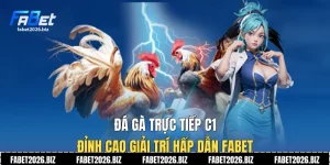 Đá gà trực tiếp C1
