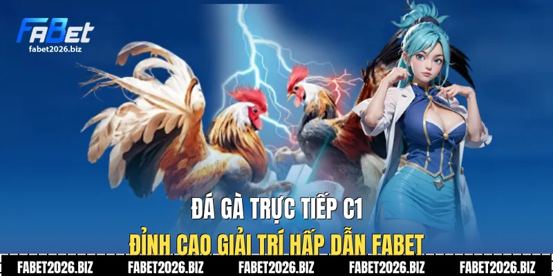 Đá gà trực tiếp C1