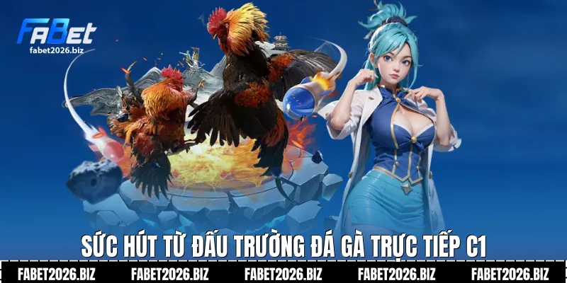 Sức hút từ đấu trường đá gà trực tiếp C1